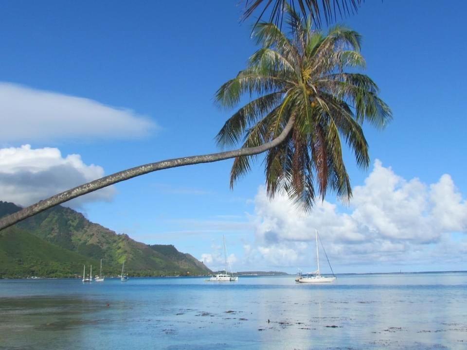 Beach De Reve De Moorea Hauru Ngoại thất bức ảnh