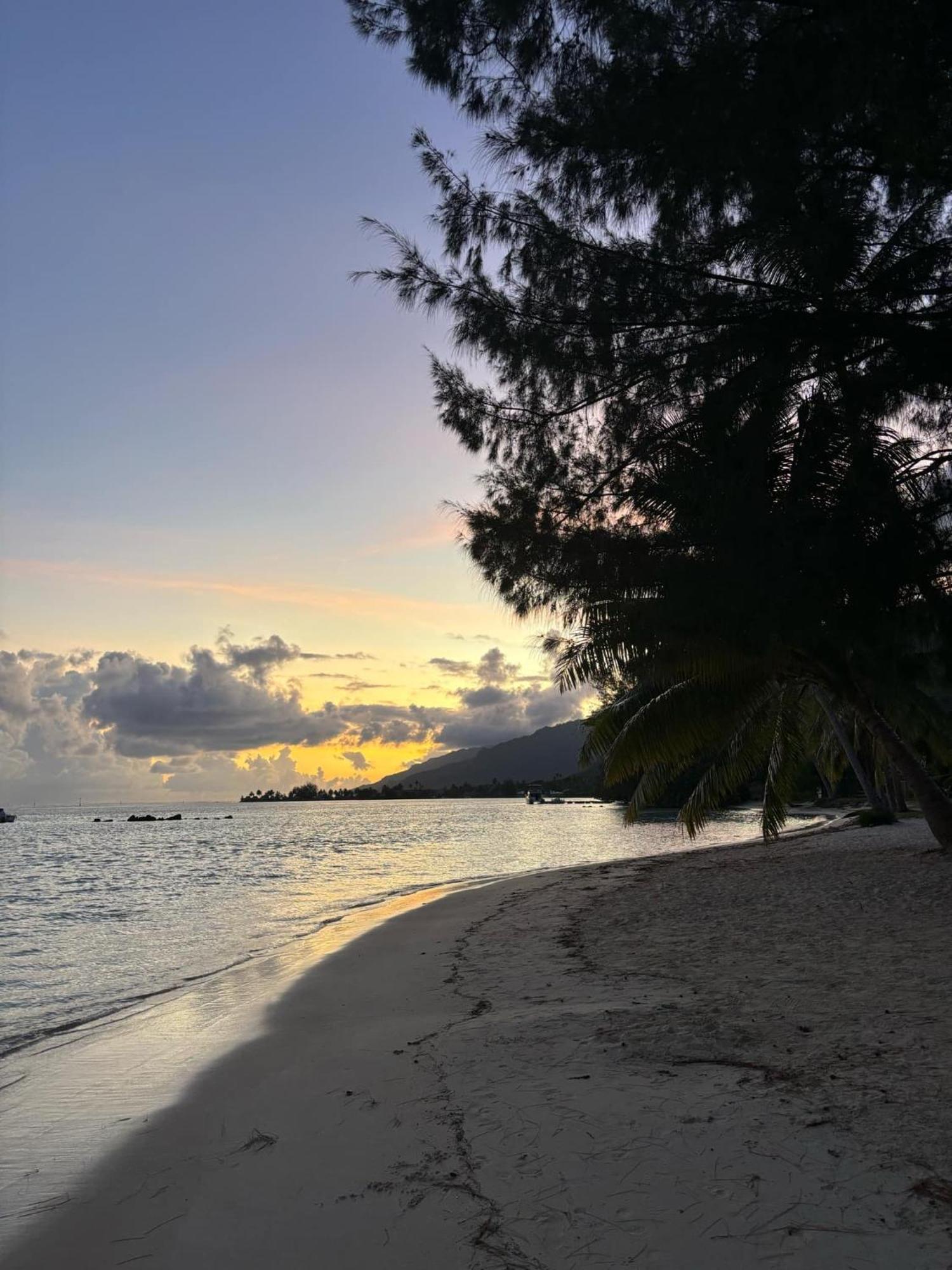 Beach De Reve De Moorea Hauru Ngoại thất bức ảnh